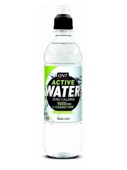 Жиросжигатель QNT Drink Active Water 500 мл