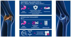 Для суставов и связок Olimp Flexagen 30 пакетов