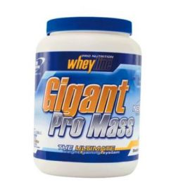 Гейнер Pro Nutrition Gigant Pro Mass 3000 грамм