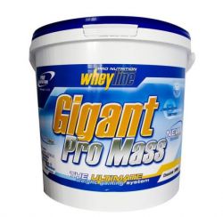 Гейнер Pro Nutrition Gigant Pro Mass 5000 грамм