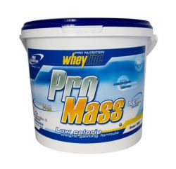 Гейнер Pro Nutrition Pro Mass 6000 грамм 