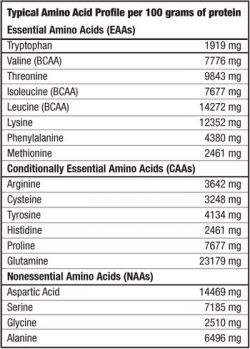 Состав BioTech Nitro Gain 908 гр
