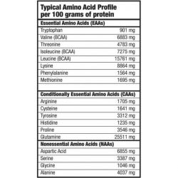 состав 1BioTech Protein Power 4 кг
